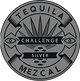 Silver Medal icon