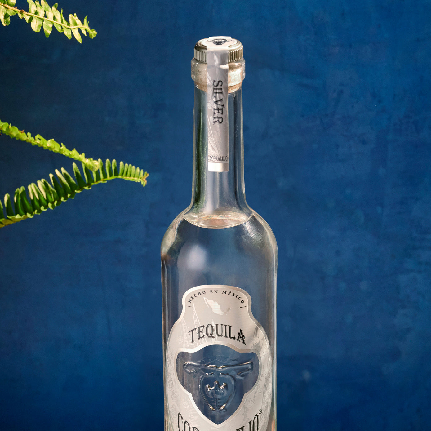 Corralejo Silver