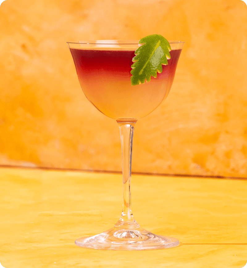 JALISCO SOUR