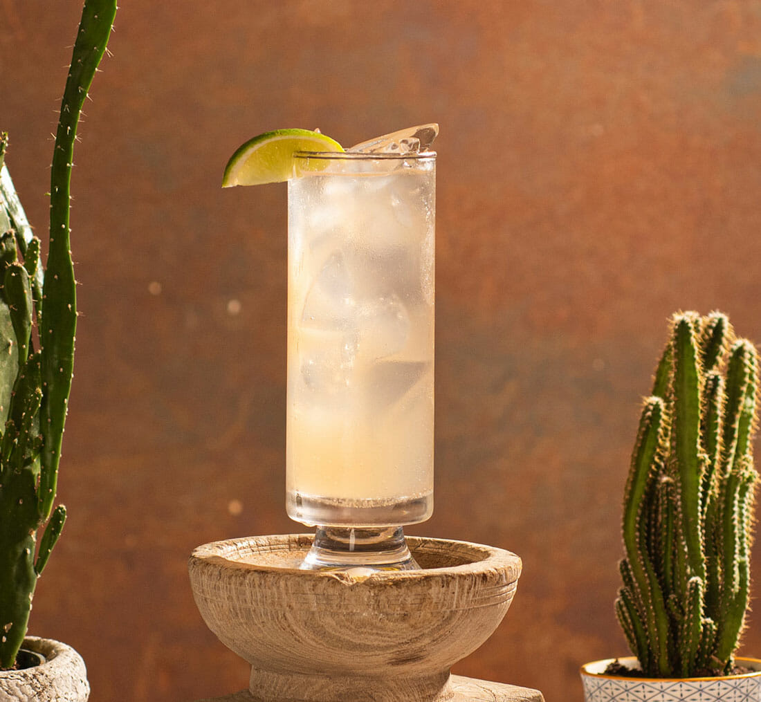 corralejo paloma cocktail